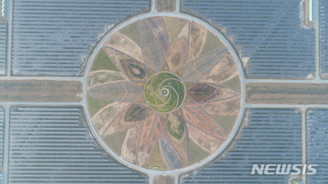 [세종=뉴시스]전남 해남군 산이면 구성리 일원에 위치한 '솔라시도 태양광발전소' 내 '태양의정원'. (사진=에너지정보문화재단 제공)