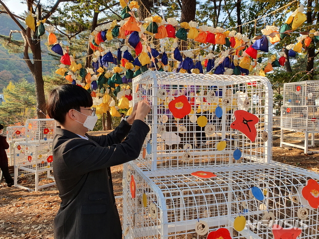 [문경=뉴시스] 김진호 기자 = 문경 문창고등학교 학생들이 문경새재 과거길에 조성된 '합격기원 숲'에서 수능을 앞둔 선배들을 위해 기원패를 달고 있다. (사진=문경시 제공) 2020.11.03 photo@newsis.com
