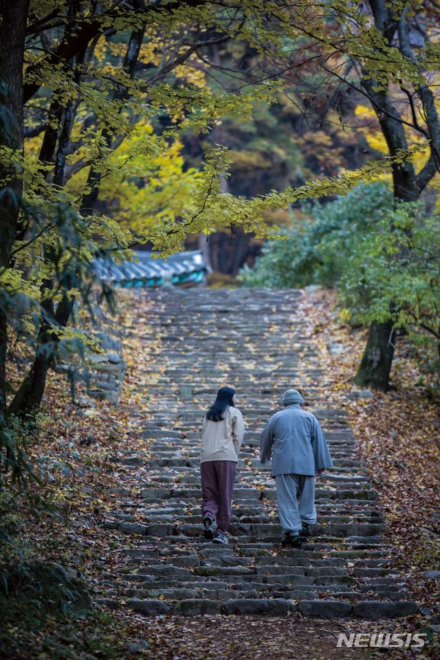 [서울=뉴시스]가을 템플스테이 (사진 = 한국불교문화사업단 제공) 