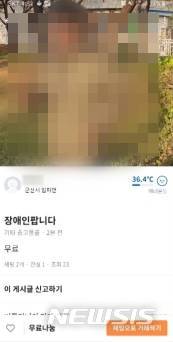 [전주=뉴시스]윤난슬 기자 = 당근마켓에 올라온 '장애인 팝니다'라는 게시글.(사진=독자 제공)