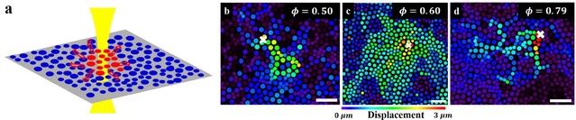 IBS, 액체에서 유리로 변하는 입자 움직임 규명 