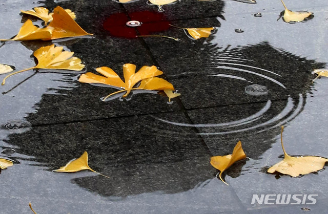 [서울=뉴시스]김병문 기자 = 전국적으로 가을비가 내리는 18일 오후 서울 중구 서울특별시청 앞에서 고인 빗물로 우산 쓴 시민이 비치고 있다. 2020.11.18. dadazon@newsis.com