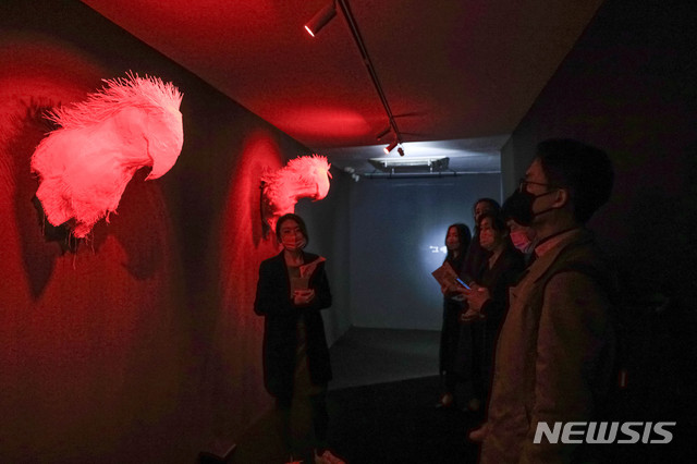 [서울=뉴시스] 박민석 기자 = 취재진들이 19일 오전 서울 용산구 블루스퀘어 네모에서 열린 편견과 혐오의 인류사를 다룬 아포브 전시회 '너와 내가 만든 세상'의 프레스투어에서 작품을 감상하고 있다. 2020.11.19.&nbsp; mspark@newsis.com