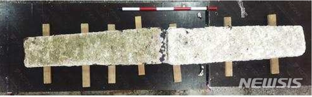 [서울=뉴시스]제주 신창리에서 출수된 닻돌(사진=문화재청 제공)2020.11.24 photo@newsis.com