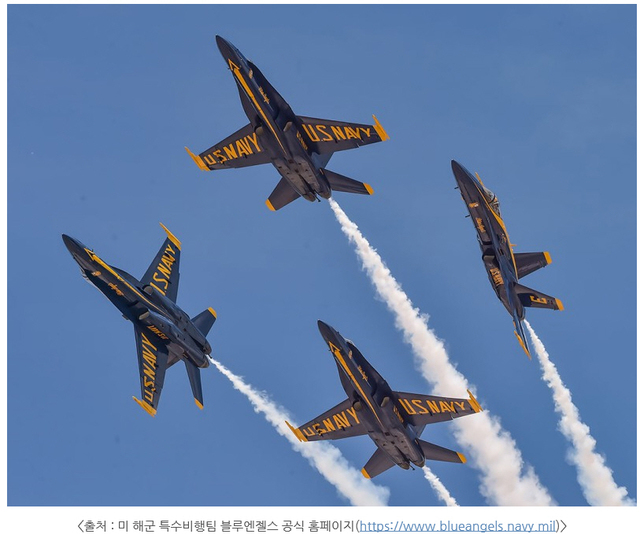 [서울=뉴시스] 블루엔젤스. 2020.11.29. (사진=방위사업청 블로그 캡처)