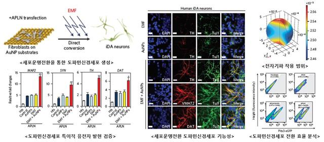 12월 과학기술인상에 동국대 김종필 교수 선정