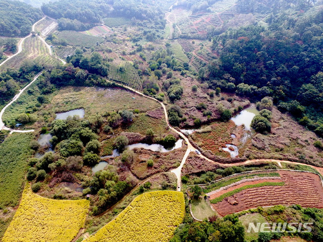 문경 돌리네 습지 