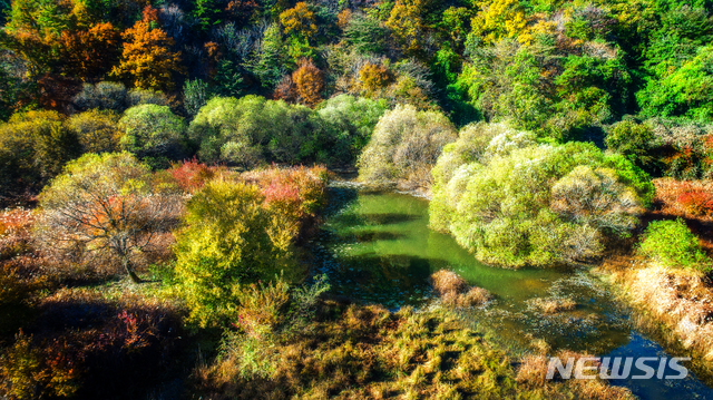 문경 돌리네 습지