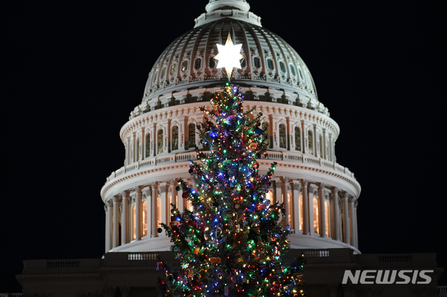 [워싱턴=AP/뉴시스] 2일(현지시간) 미국 워싱턴에 있는 의회 의사당 크리스마스 트리에 불이 들어온 모습. 2020.12.22.