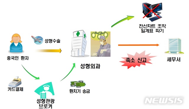 [세종=뉴시스]  국세청이 6일 공개한 조세포탈범 사례. (그림=국세청 제공)