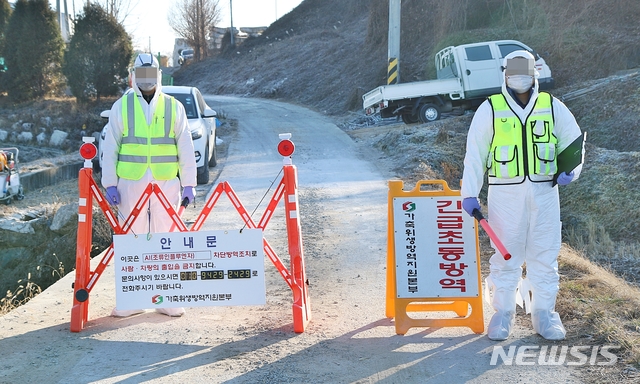 [음성=뉴시스]강신욱 기자 = 8일 H5형 조류인플루엔자(AI) 항원이 검출된 충북 음성군 금왕읍 메추리농장 출입로를 가축위생방역지원본부 관계자들이 통제하고 있다. 2020.12.08. ksw64@newsis.com