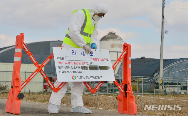 [나주=뉴시스] 변재훈 기자 = 8일 오후 전남 나주시 세지면 한 육용오리농장에서 조류인플루엔자(AI) 항원이 검출돼 방역당국 관계자들이 인근 진입로 출입을 통제하고 있다. 2020.12.08. wisdom21@newsis.com