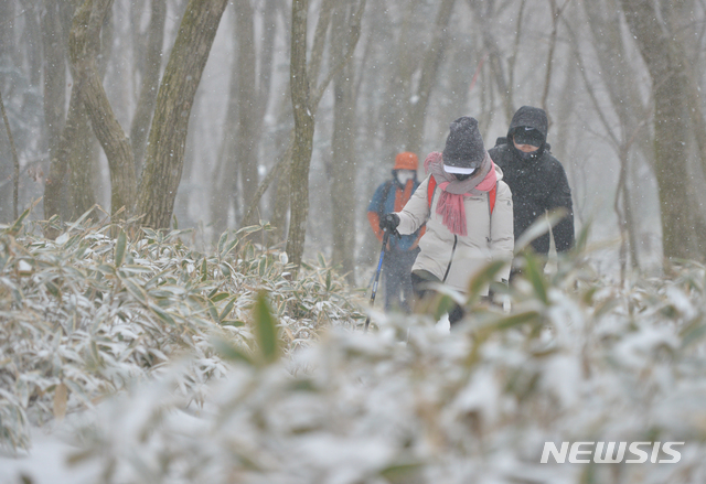 [제주=뉴시스]우장호 기자 = 제주도 산지에 대설주의보가 내려진 14일 오전 제주 한라산 어리목 탐방로를 찾은 등반객들이 눈을 맞으며 산길을 걸어가고 있다. 한라산 1100도로는 대형과 소형 차량 모두 체인을 감아야 통행할 수 있다. 2020.12.14. woo1223@newsis.com