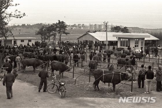 수원 우시장. (사진제공=수원시)