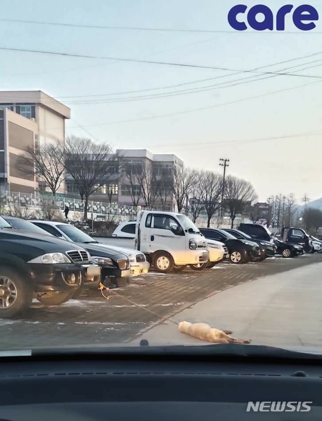 [청주=뉴시스] 조성현 기자 = 4일 오후 충북 옥천군 옥천읍의 주차장에서 주차된 차에 묶인 개가 쓰러져 있다. (사진=동물권단체 케어 SNS) 2021.01.05. photo@newsis.com 