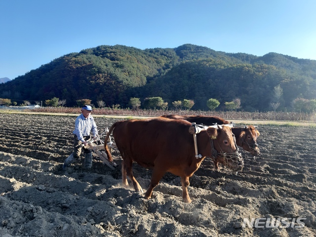 (사진=홍천군청 제공)