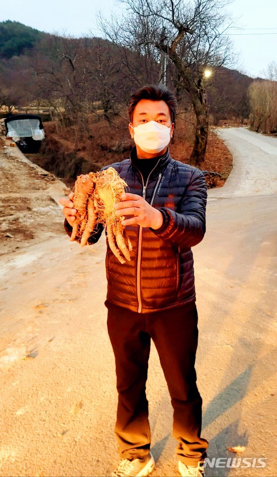 [하동=뉴시스] 경남 하동 지리산 자락에서 캔 야생 산더덕. (사진제공=한국전통심마니협회)