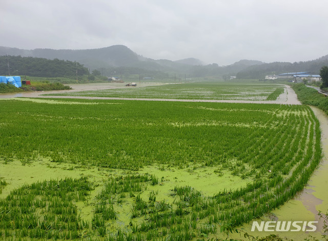 창녕군, 농업수리시설물 현대화사업...원년의 해로 선정
