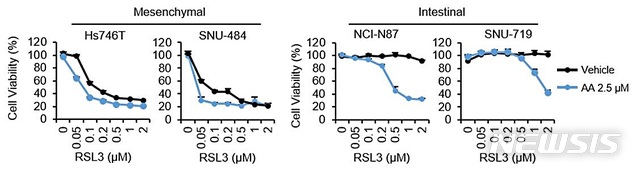 [대전=뉴시스] 다중불포화지방산의 유무가 페롭토시스 반응성을 결정한다. 상피형(intestinal-type) 위암세포주에 아라키돈산(AA)을 첨가하면 페롭토시스 저항성이 극복된다.