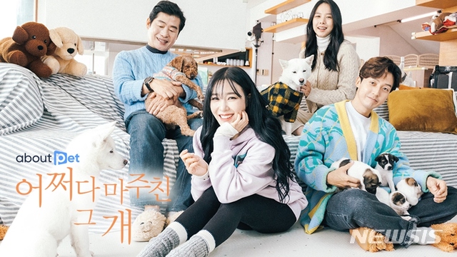 [서울=뉴시스]14일 방송되는 SBS '어바웃 펫 - 어쩌다 마주친 그 개' 포스터. (사진=SBS 제공) 2021.01.14. photo@newsis.com