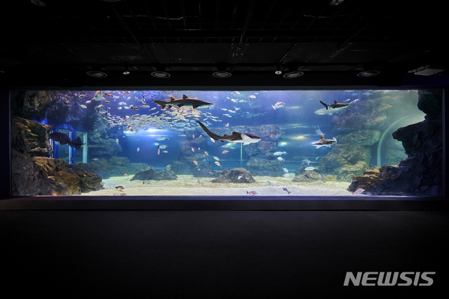 [서울=뉴시스]아쿠아플라넷 광교 '메인 수조'