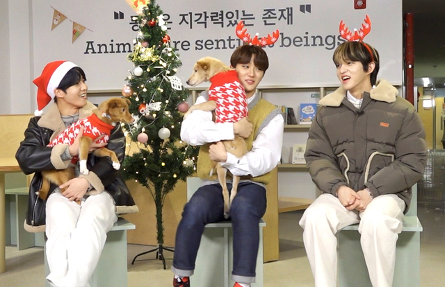 U+아이돌Live, '아이돌 소개팅' 19일 첫방송…골든차일드 출연