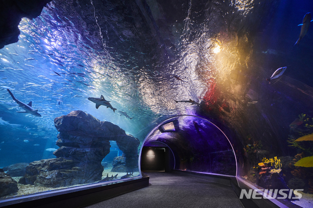 [서울=뉴시스]아쿠아플라넷 광교 