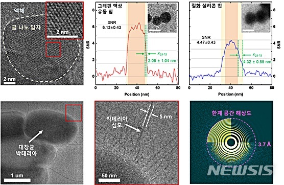 [대전=뉴시스] 그래핀 액상 유동 침을 이용해 관찰한 나노 입자 및 박테리아의 전자현미경 이미지.