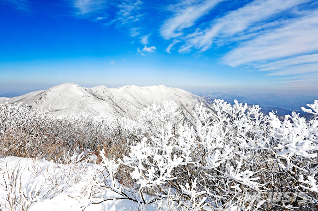 [안동=뉴시스] 영주 소백산. (사진=경북도 제공) 2021.01.25