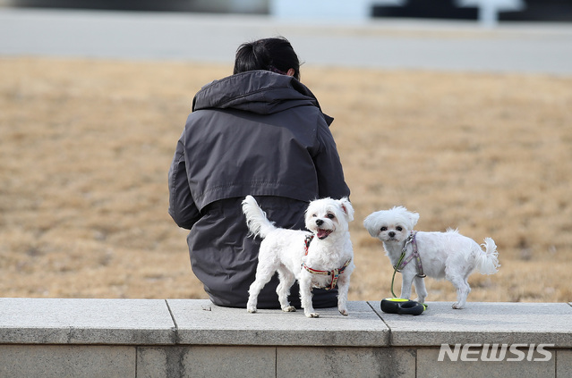 [서울=뉴시스] 김선웅 기자 = 25일 서울 반포한강공원에서 한 시민이 반려견을 산책시키고 있다. 2021.01.25. mangusta@newsis.com