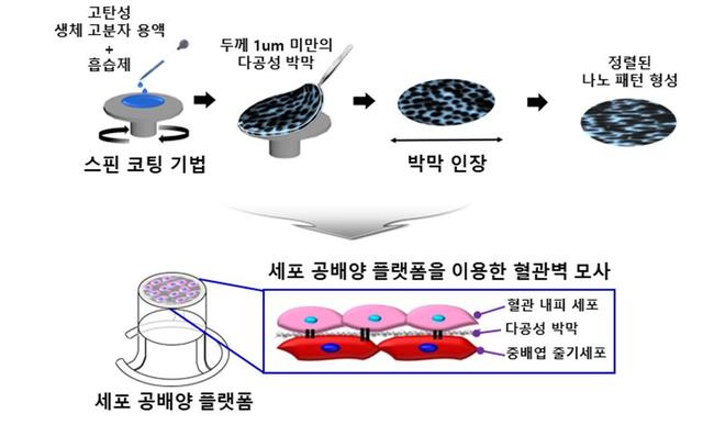국내연구진, 인공 장기·피부 등 생체조직 쉽게 만드는 기술 개발