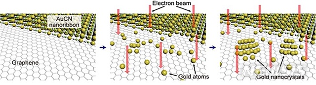 [대전=뉴시스] 투과전자현미경(TEM)을 통해 관찰한 금 나노결정의 탄생 과정.