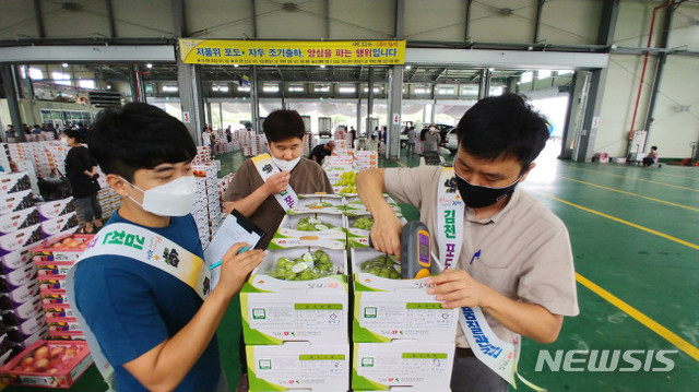 김천시, 경북 첫 샤인머스캣 품질 인증제 도입
