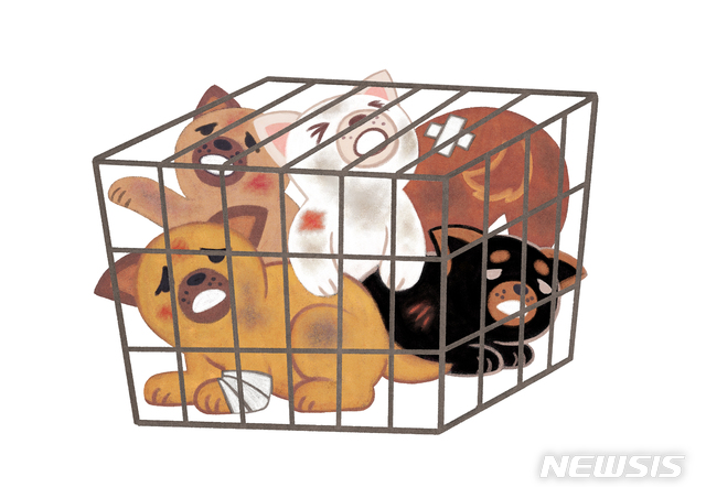 지인 46명 명의로 유기견 입양…보조금 부정수급 60대 입건 전 조사