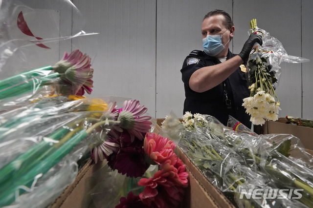[AP/뉴시스] 2월 11일 발렌타인 데이를 앞두고 외국산 수입 꽃을 검역하고 있는 미 마이애미 공항 검역관. 이날 꽃 수요의 89%가 외국에서 수입되었다고 한다. 