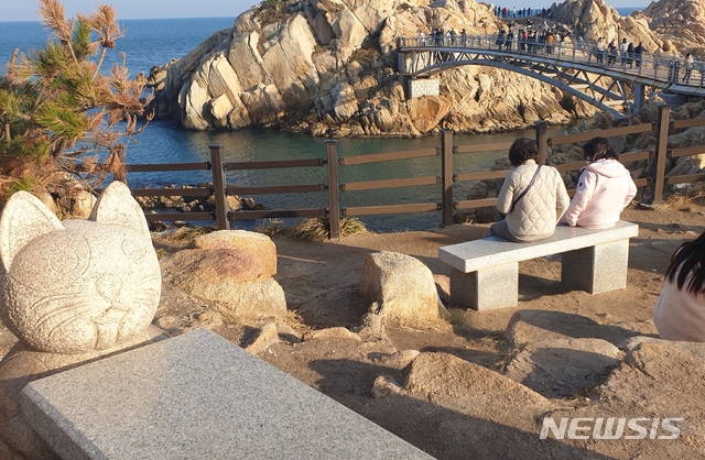 고양이 의자, 울산 동구 대왕암공원