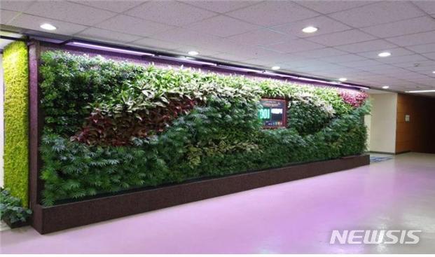 [서울=뉴시스] 서울 보라매병원 스마트가든. (사진=서울시 제공) 2021.02.16. photo@newsis.com 