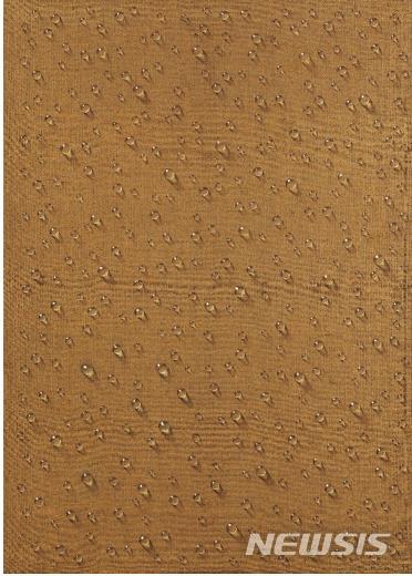 [서울=뉴시스] 김창열, '물방울', oil on hemp cloth, 161.5☓115.7cm, 1977, 추정가 KRW 4억8천만~7억원. 사진=서울옥션 제공. 2021.2.16. photo@newsis.com