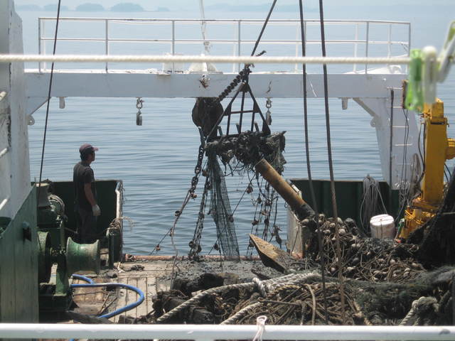 뉴시스DB *재판매 및 DB 금지