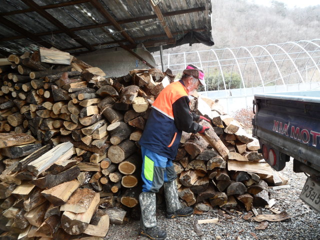 뉴시스 DB. *재판매 및 DB 금지