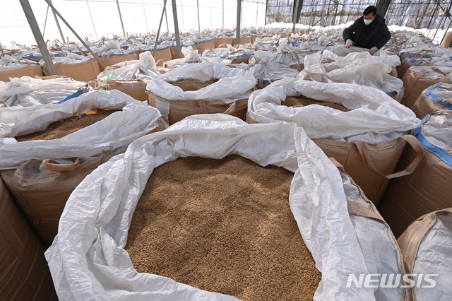 [화성=뉴시스]김종택기자 = 경기 화성시 한 미곡종합처리장. 2021.02.18. jtk@newsis.com