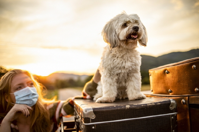 [부산=뉴시스] 파라다이스호텔 부산, ‘댕댕 치휴 트립’ 패키지 출시. (사진=파라다이스호텔 부산 제공) *재판매 및 DB 금지