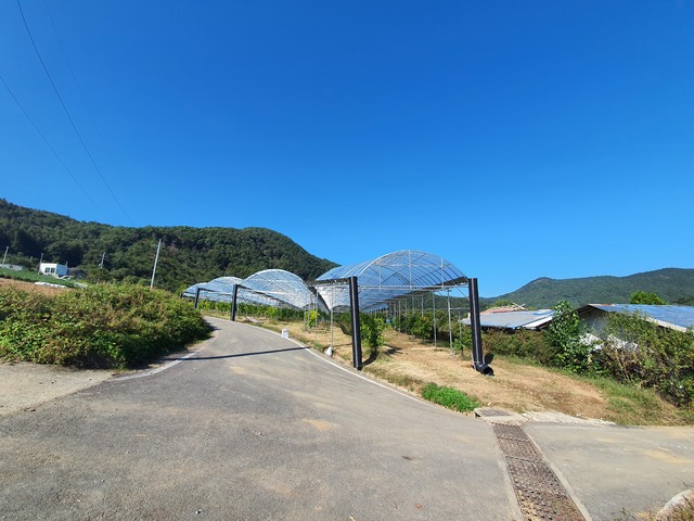 보은군 농업·축산 경쟁력 향상…903억원 투입 