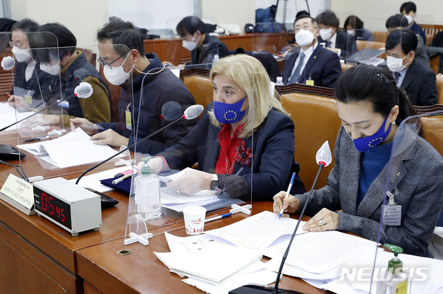 [서울=뉴시스]최동준 기자 = 마리아 카스티요 페르난데즈 주한 유럽연합 대사가 25일 서울 여의도 국회 환경노동위원회에서 열린 탄소중립이행법안 마련을 위한 입법 공청회에서 발언하고 있다. 2021.02.25. photocdj@newsis.com