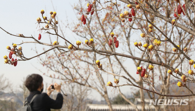 포근한 경칩, 낮 기온 대부분 15도↑…큰 일교차