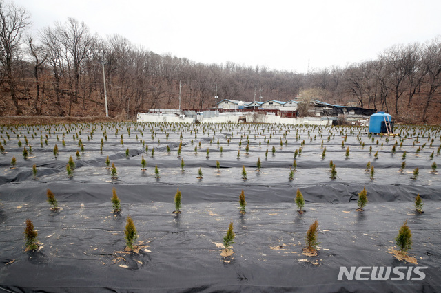 [시흥=뉴시스]김병문 기자 = 한국토지주택공사(LH)가 LH 직원의 광명시흥 신도시 땅 사전 투기 의혹과 관련해 대국민 사과문을 발표한 4일 오전 경기 시흥시 과림동 일대에 묘목이 식재되어 있다. 2021.03.04. dadazon@newsis.com