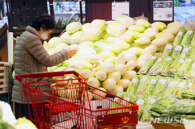 [서울=뉴시스]배훈식 기자 = 서울시내 한 대형마트에서 한 시민이 장을 보고 있다.&nbsp; 2021.03.04. dahora83@newsis.com