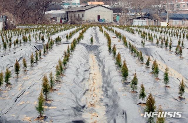 시흥시 과림동 투기 의혹 현장.