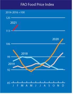 세계식량가격지수 고공행진…2월까지 9개월 연속 상승