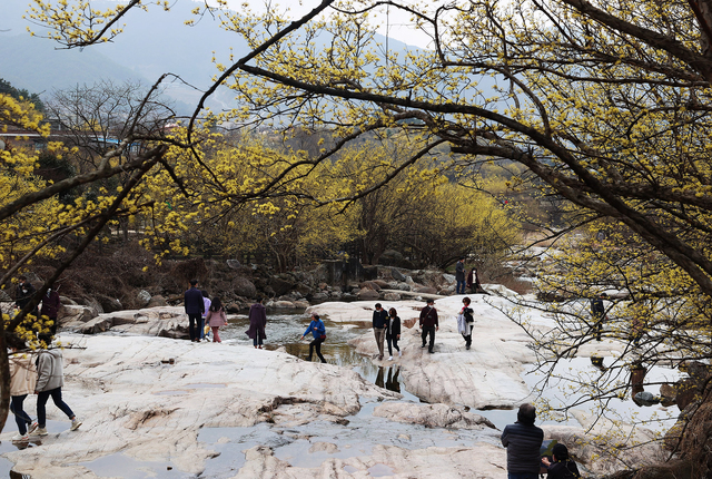 "코로나 이후에도 해외보다 국내 관광 수요 증가할 것"